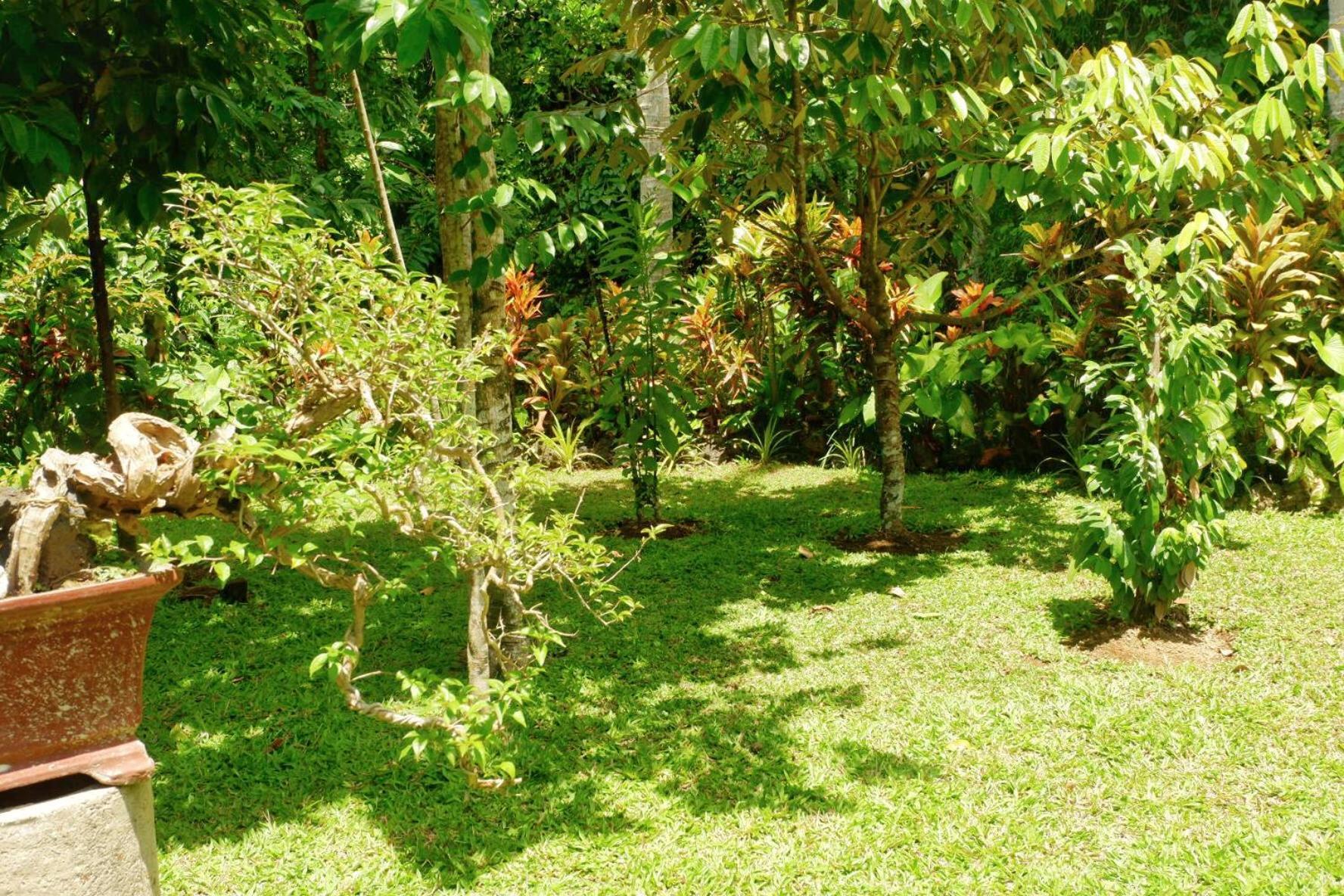 Artja Inn Ubud ภายนอก รูปภาพ